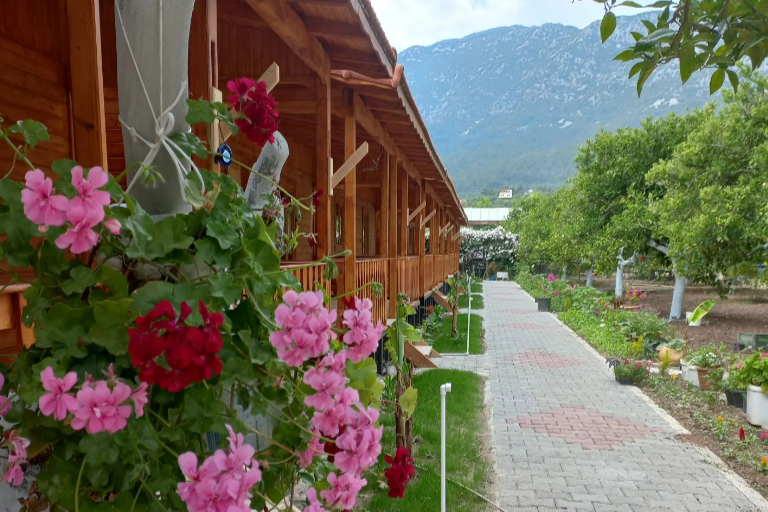 Apartta Tatilin Avantajları